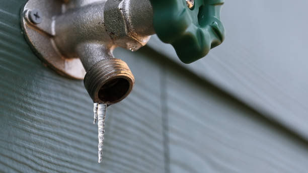 Best Local Plumber Services  in Salmon, ID